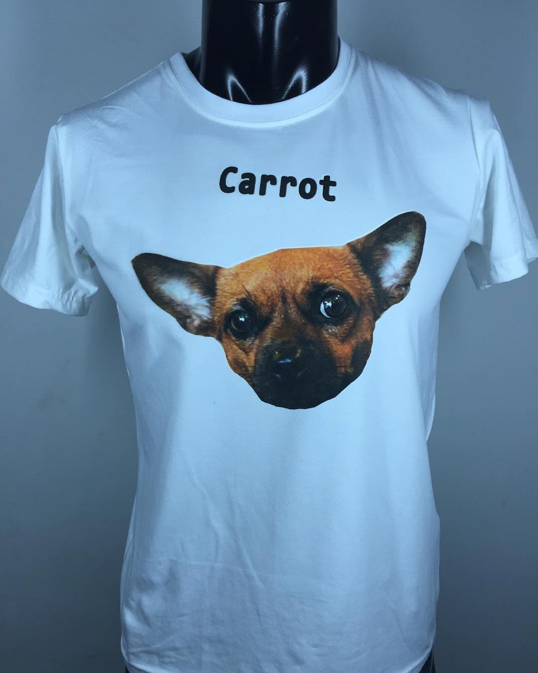 Chiếc áo của cô gái yêu động vật #aothuntuthietke #customtshirt #aothun